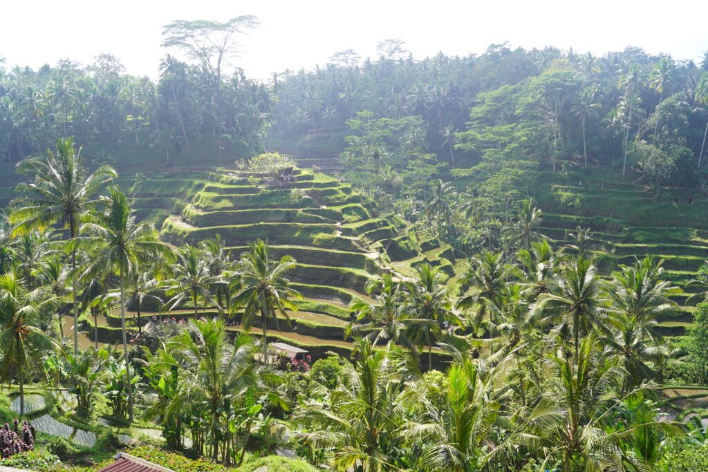 Ubud